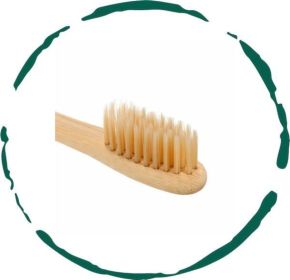 Eco-Friendly Bamboo Toothbrush with Ultra-Soft BPA-Free Nylon Bristles - Natural